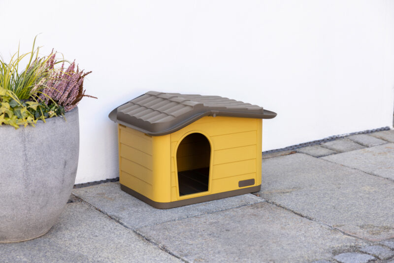 Cat House Paola Eco