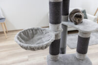 Cat Tree Benji