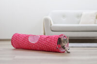 Cat Tunnel Puntino