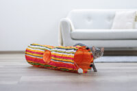 Cat Tunnel Swish