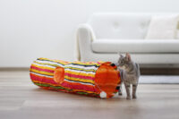 Cat Tunnel Swish