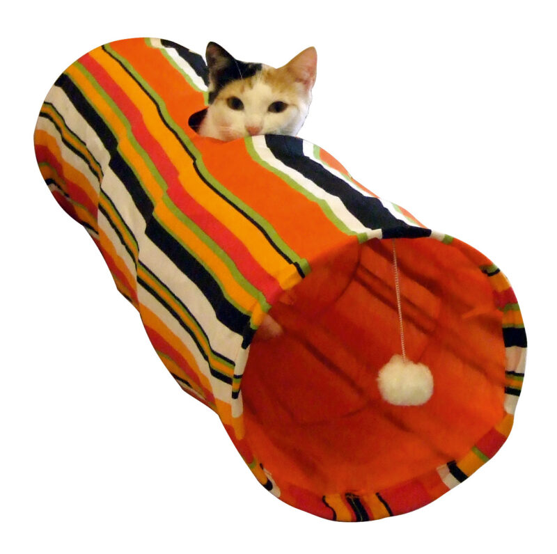Cat Tunnel Swish