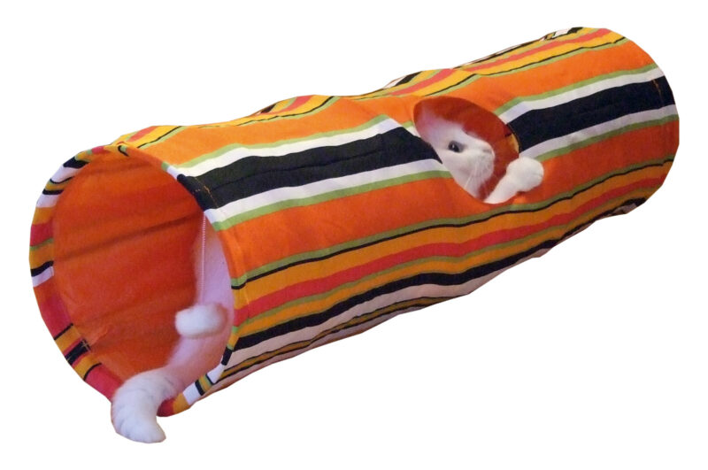 Cat Tunnel Swish