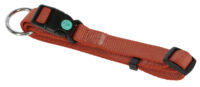 Collier pour chien Miami