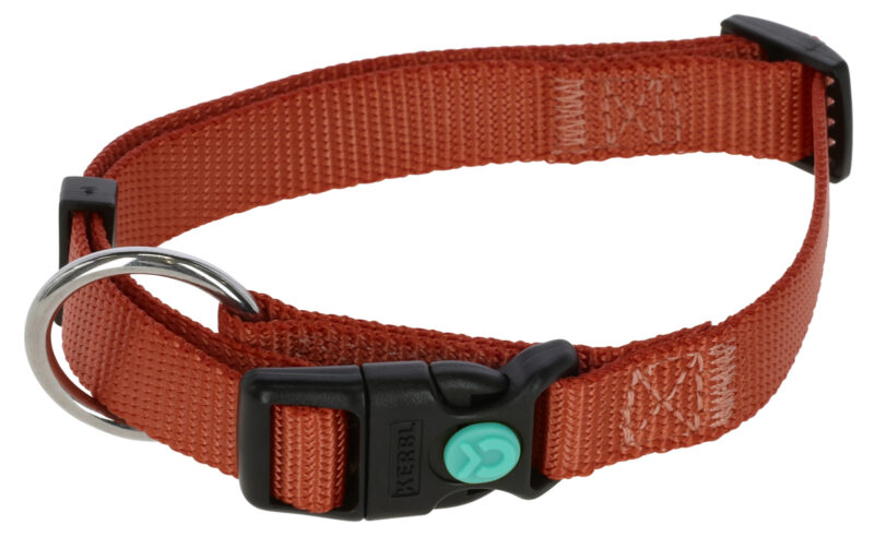 Collier pour chien Miami