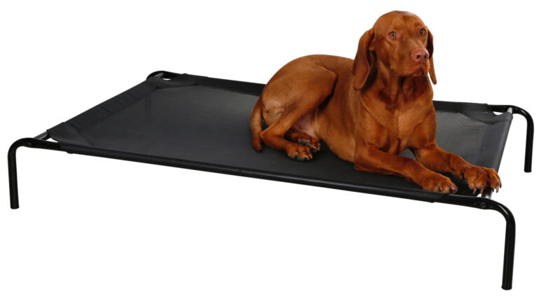 Couchette pour chien Vacation
