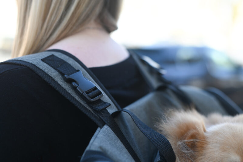 Dog Backpack Vacation