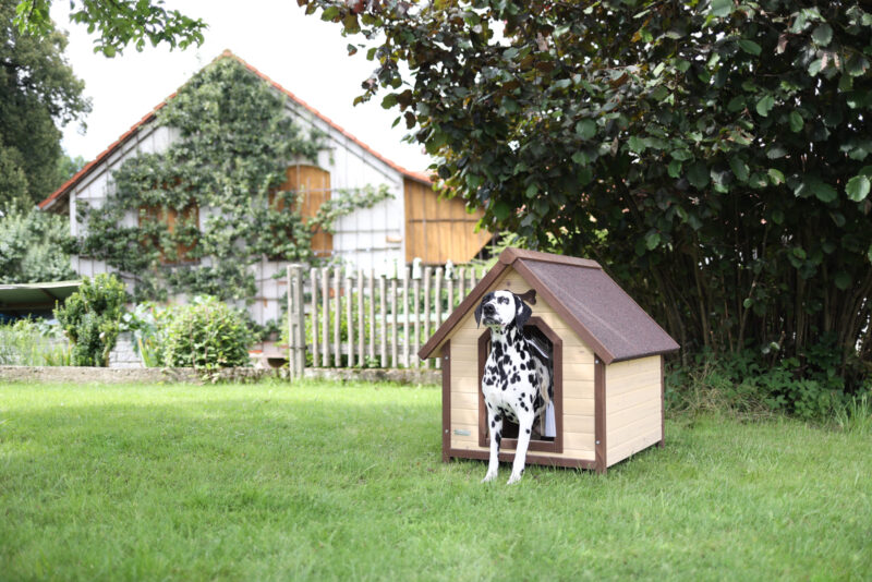 Dog House 4-Seasons