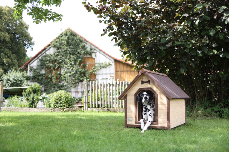 Dog House 4-Seasons