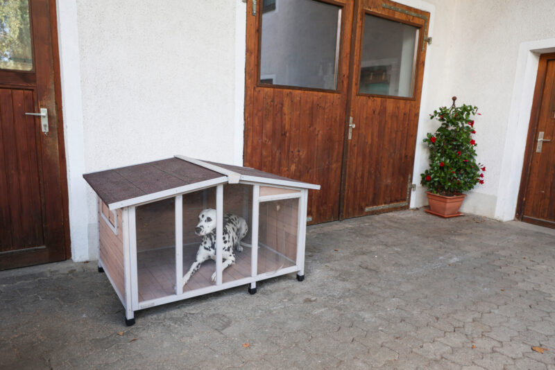 Dog House Overview