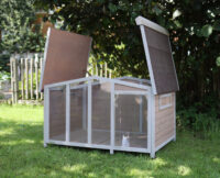 Dog House Overview