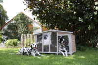 Dog House Overview