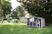 Dog House Overview