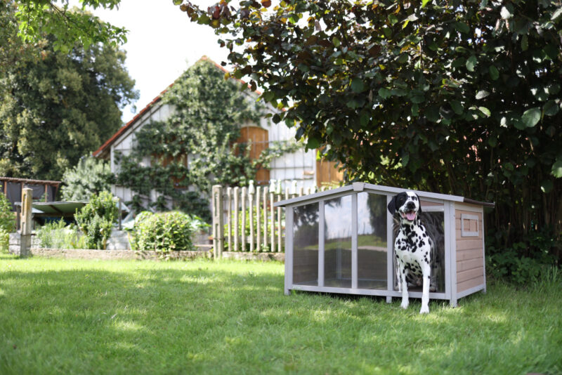 Dog House Overview