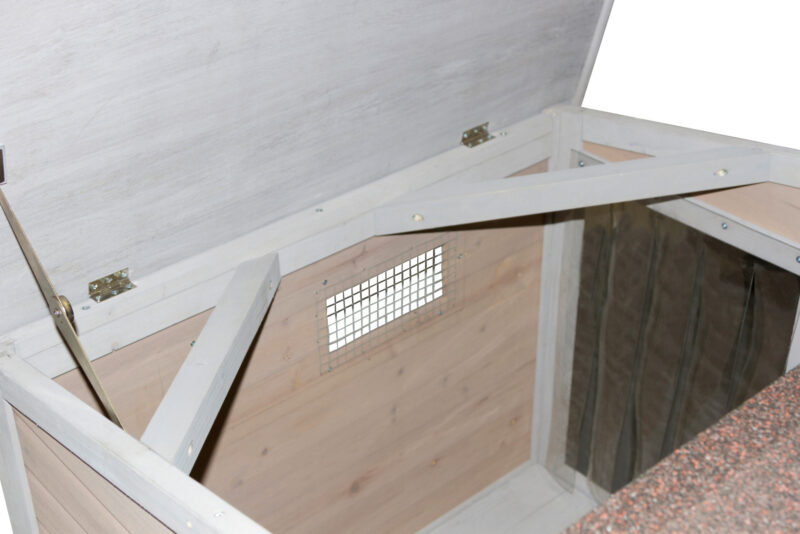 Dog House Overview