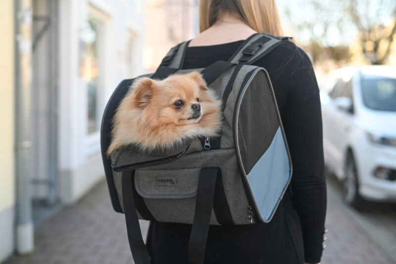 Dog Backpack Vacation