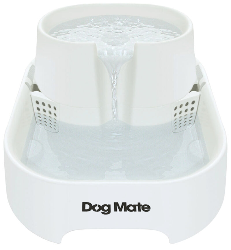 Drinking Fountain