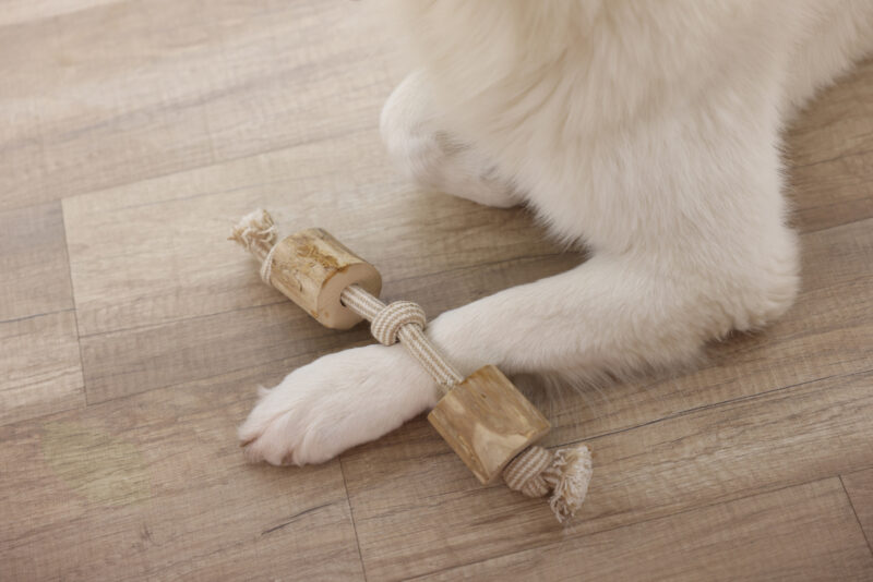 Dumbbell Coffee Wood