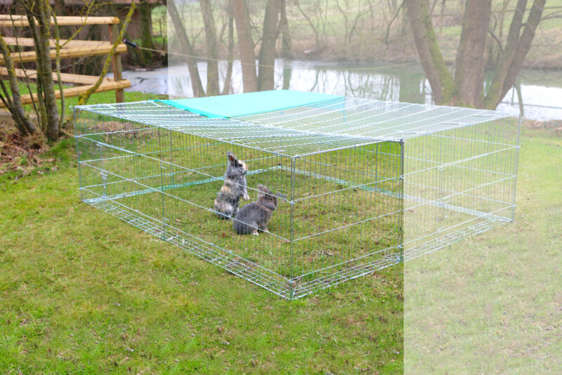 Extension d’enclos avec dispositif anti-fugue