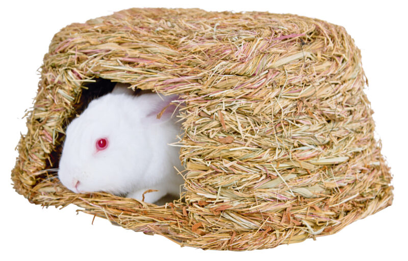 Grass House