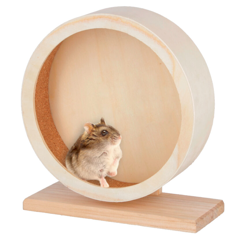 Hamster Wheel