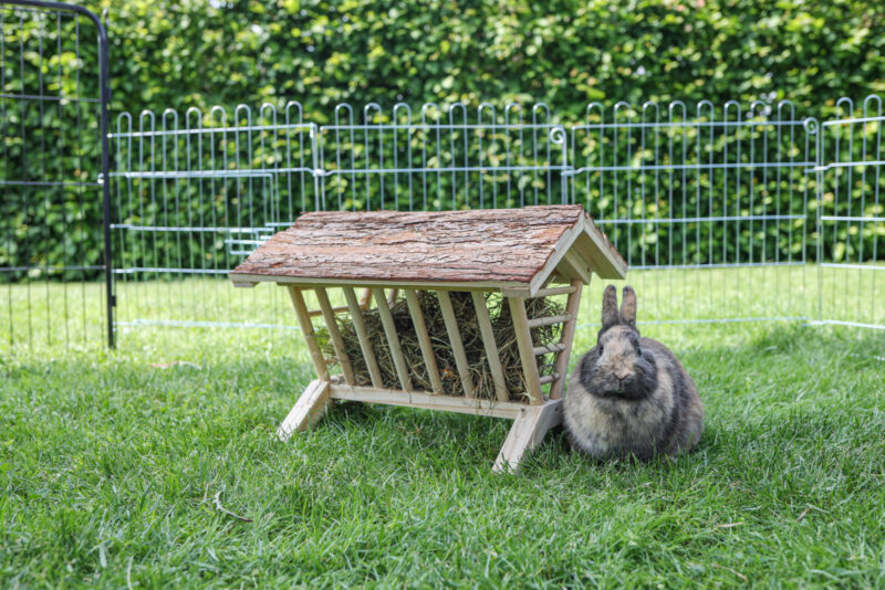 Hay manger Nature