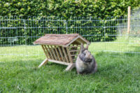 Hay manger Nature