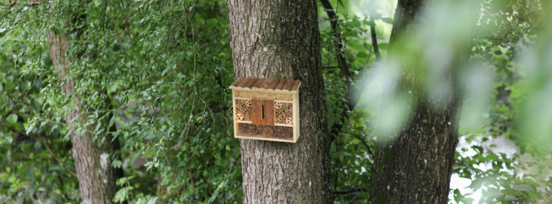 Hôtel à insectes