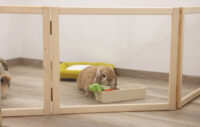 Indoor Room Divider / small Animal Run