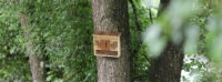 Insect Protection House