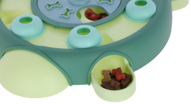 Jeu de réflexion et d'apprentissage Turtle