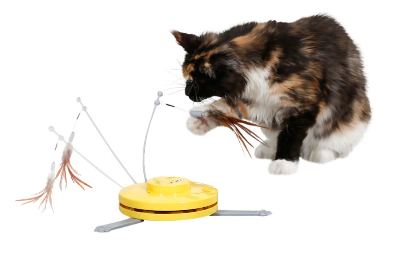 Jouet pour chat 2 en 1 Catch the TailFeather