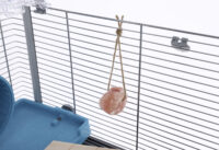 Lick Stone made from Rock Crystal Salt
