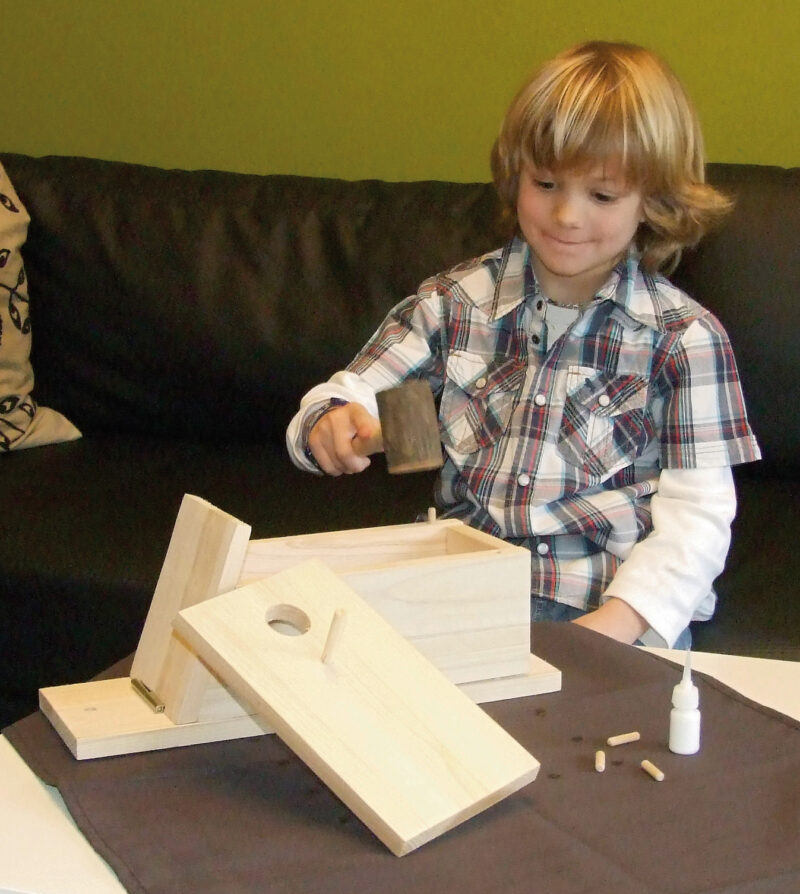 Nest Box Self-assembly Kit