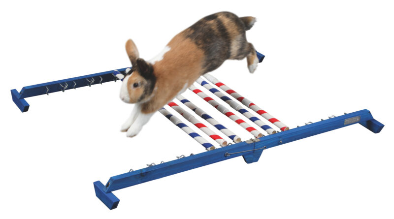 Obstacle combiné Agility