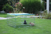 Open-air enclosure with breakout barrier