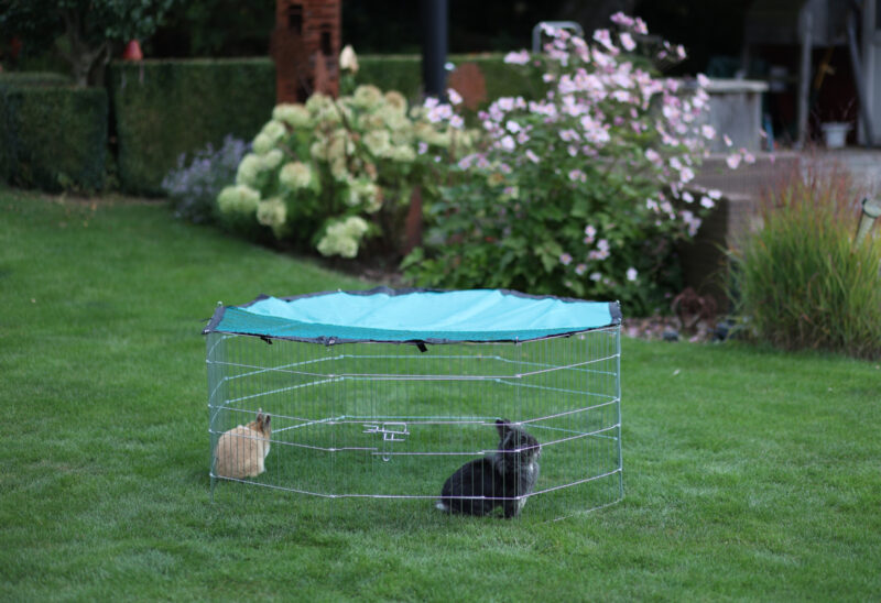 Outdoor Enclosure 8-corner