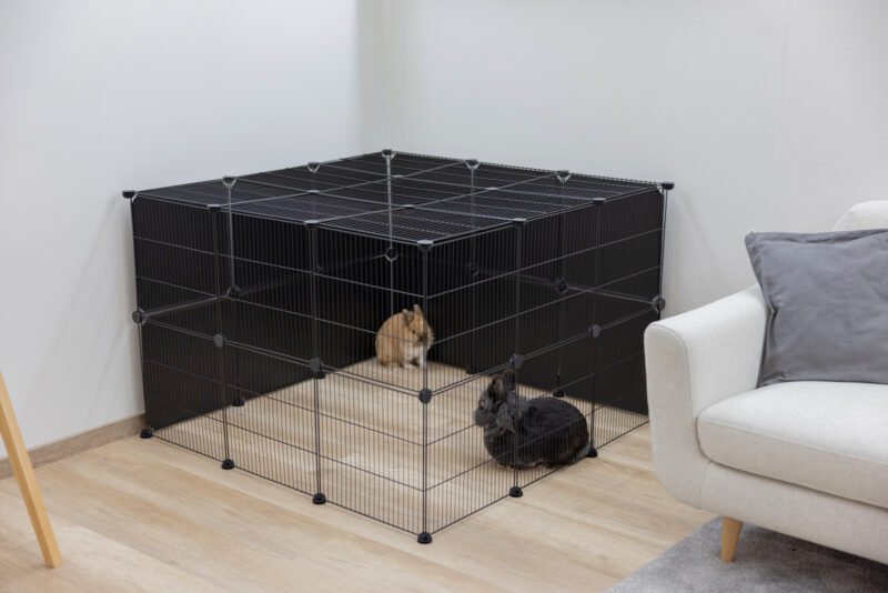 Outdoor Pen Hopsi