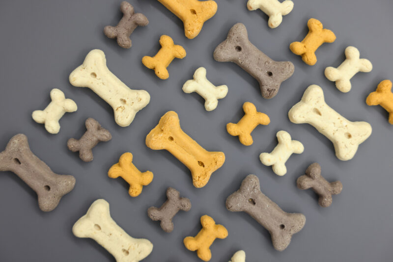 Pet Rewards Biscuits Junior Mix