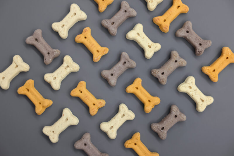 Pet Rewards Biscuits Junior Mix