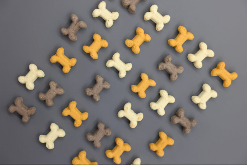 Pet Rewards Biscuits Puppy Mix