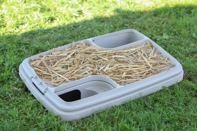Rabbit Burrow Bunny Base