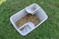 Rabbit Burrow Bunny Base