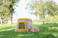 Rabbit House Bunny Base