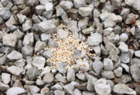 Repellent Granules against Dogs and Cats