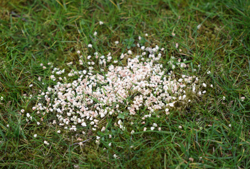 Repellent Granules against Dogs and Cats
