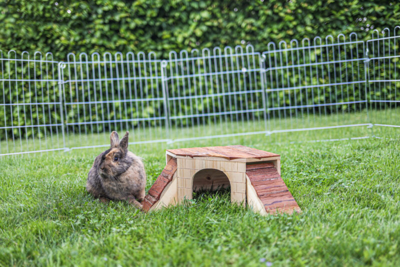 Rodent Cabin with two Ramps