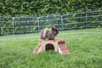 Rodent Cabin with two Ramps
