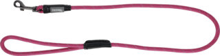 Rope Leash Seoul