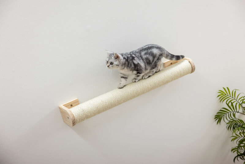 Scratching Post